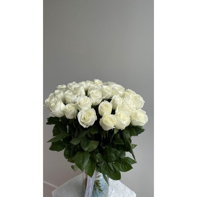 Розы Blanca на ленту от «Kiara Fleur»